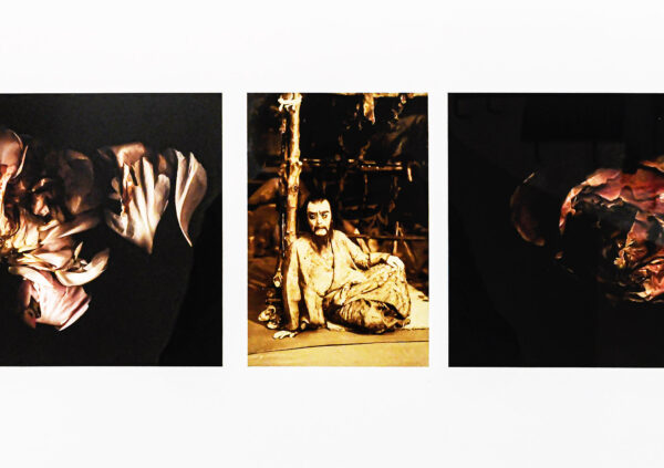 61_Anita_Jensen_Kukkapeili2 61_Anita_Jensen_Kukkapeili2