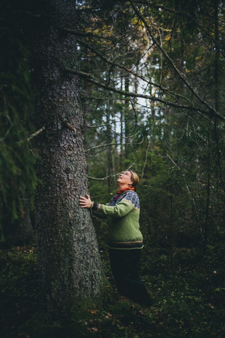 Linnunlaulua Kaukametsässä