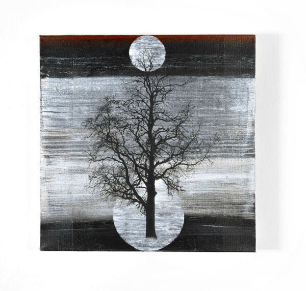 222_Arto-Määttä_Big_Oak