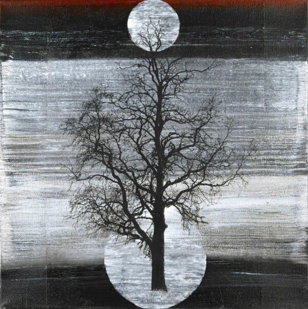 222_Arto-Määttä_Big_Oak2 222_Arto-Määttä_Big_Oak2