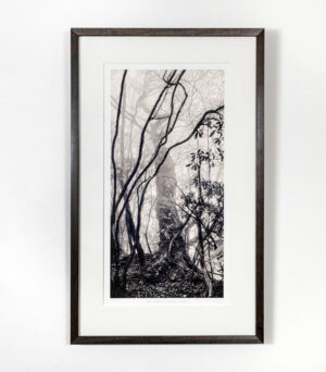 Kiitollisuus. Sarjasta Kultainen metsä. Japani, Shikoku.