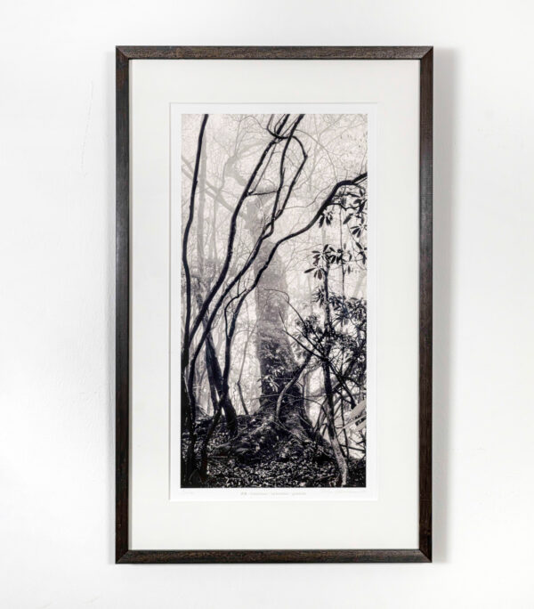 389_Ritva_Kovalainen_Kiitollisuus