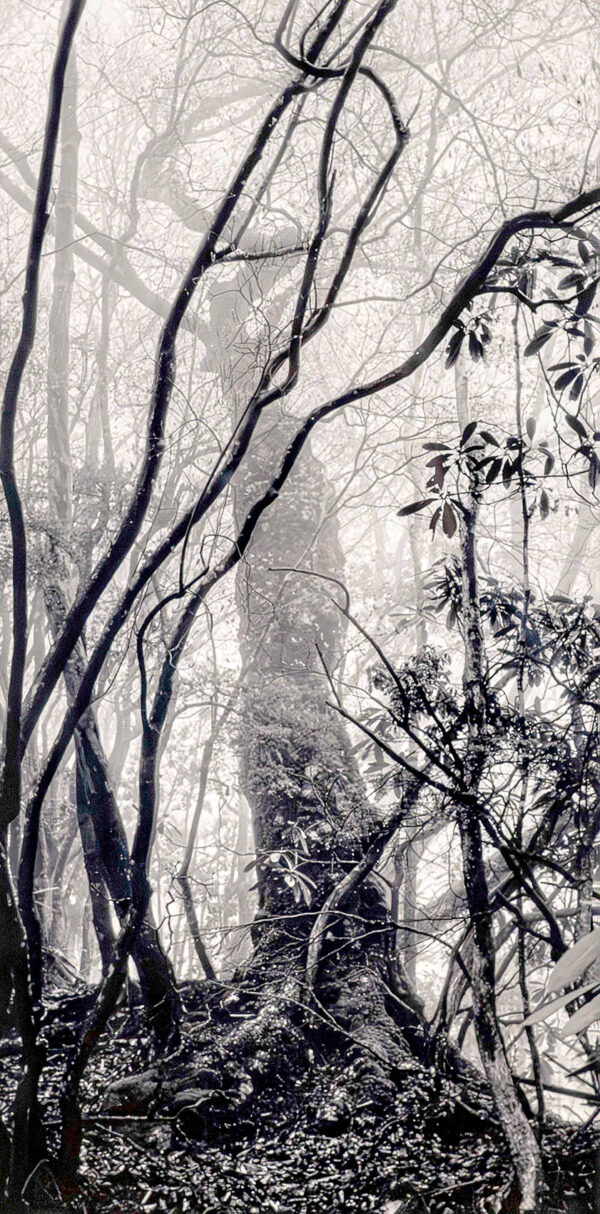 389_Ritva_Kovalainen_Kiitollisuus2 389_Ritva_Kovalainen_Kiitollisuus2