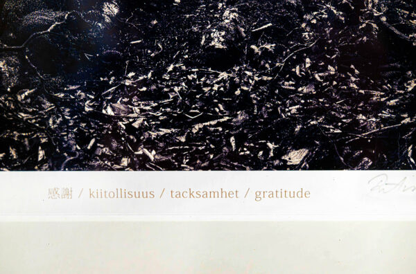 389_Ritva_Kovalainen_Kiitollisuus3 389_Ritva_Kovalainen_Kiitollisuus3