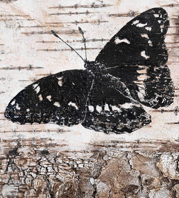 394_Susu_Rytteri_Haapaperhonen3 394_Susu_Rytteri_Haapaperhonen3