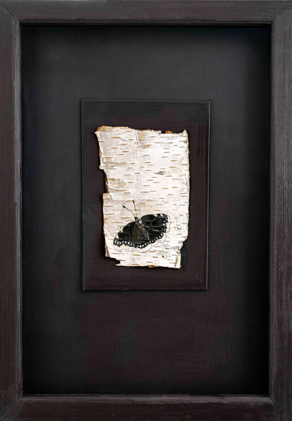 398_Susu_Rytteri_Suruvaippa 398_Susu_Rytteri_Suruvaippa