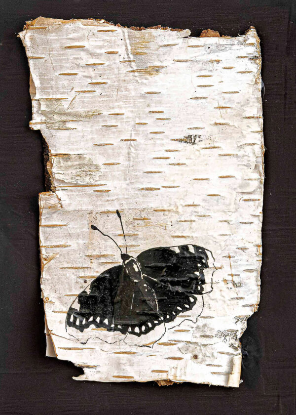 398_Susu_Rytteri_Suruvaippa2