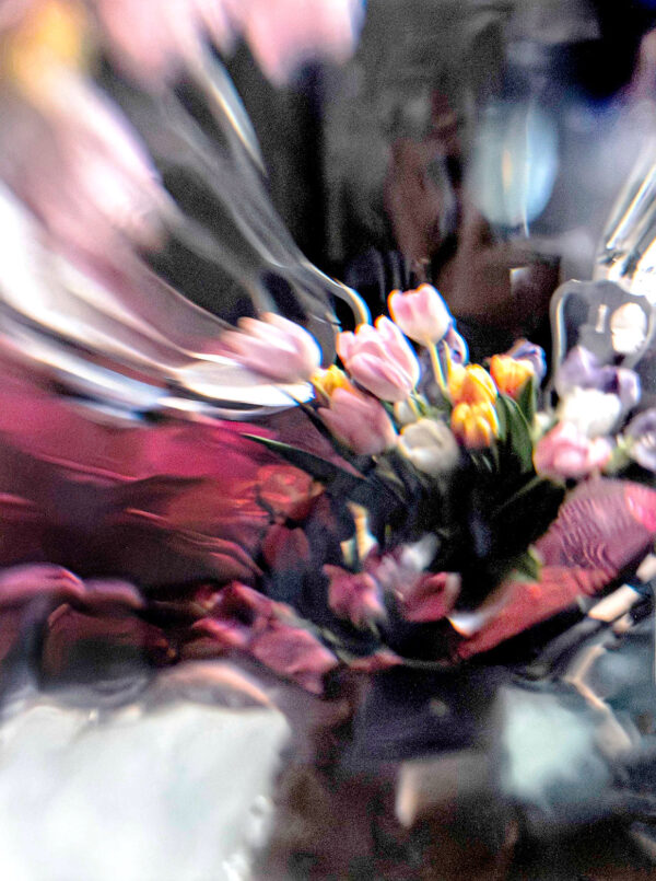 41_Kari_Holopainen_Tulppaaneja 2 41_Kari_Holopainen_Tulppaaneja 2