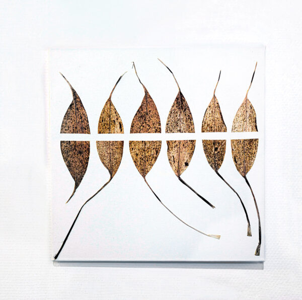 442_Marja-Hakala_Lily of the valley