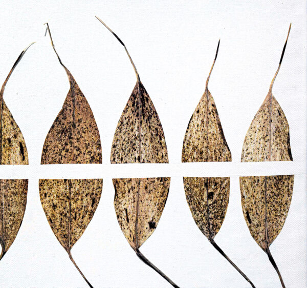 442_Marja-Hakala_Lily of the valley3 442_Marja-Hakala_Lily of the valley3