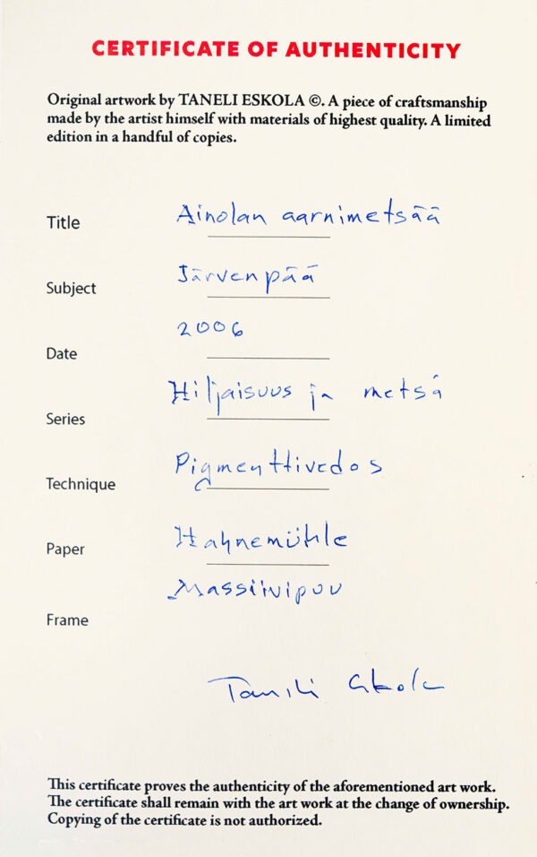 549_Taneli_Eskola_Ainolan aarnimetsä3 549_Taneli_Eskola_Ainolan aarnimetsä3