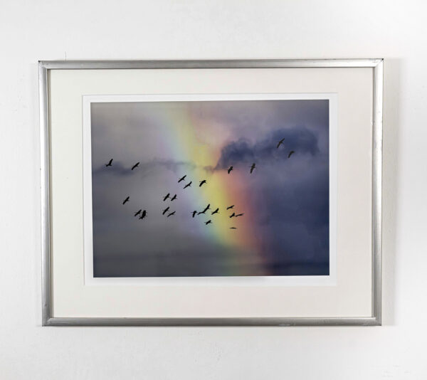 66_Kari-Auvinen_Ennen sadetta