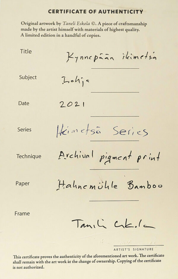 71_Taneli_Eskola_Kynäjalavalehto3 71_Taneli_Eskola_Kynäjalavalehto3