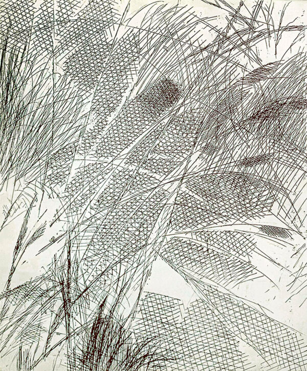 189_Juho_Karjalainen_Sommitelma2 189_Juho_Karjalainen_Sommitelma2