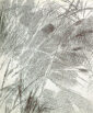 189_Juho_Karjalainen_Sommitelma2