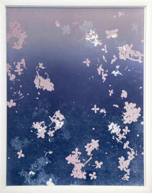 Hanami ll