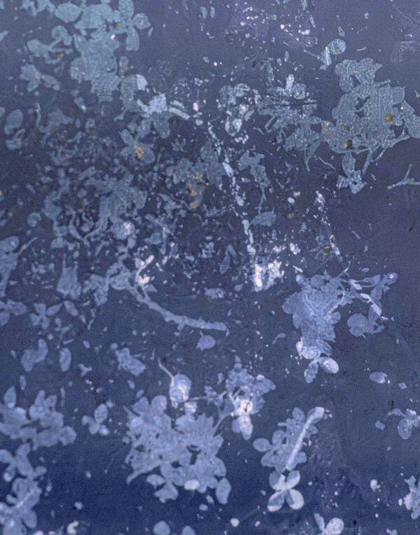 367_Kukka-Pitkänen_HanamiI1 vers2 367_Kukka-Pitkänen_HanamiI1 vers2
