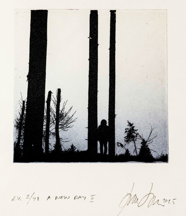 594_Janne_Laine_S New Day II