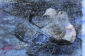 616_Nina_Jansson_Polyamoria2