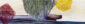 632_Leena_Halonen_Linnunpesien laulu2