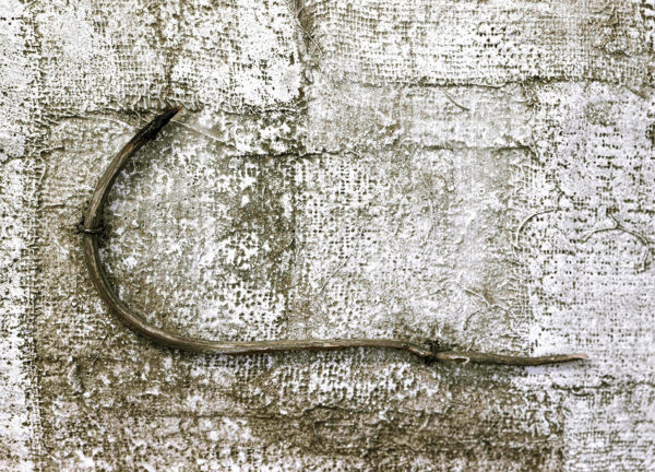 65_Themyth_Susanne Henrikson3 65_Themyth_Susanne Henrikson3