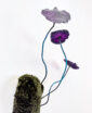 668_Mycobiota-Sammal III_Inka Nordlund