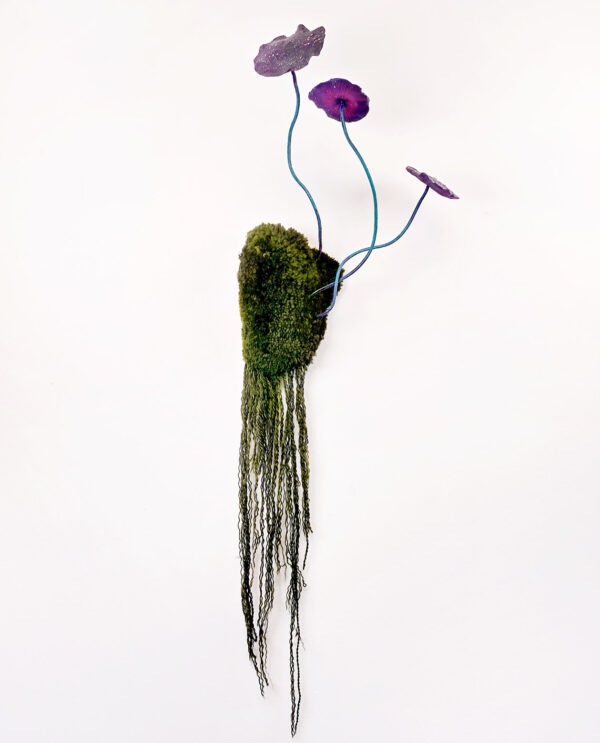 668_Mycobiota-Sammal III_Inka Nordlund2