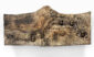 671_Ripsisiippa, Myotis Nattereri_Karolina Lillvis
