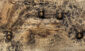 671_Ripsisiippa, Myotis Nattereri_Karolina Lillvis2